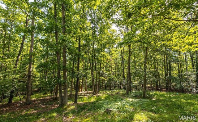 232 Timber Glen Rd, Steelville, MO 65565 - photo 31