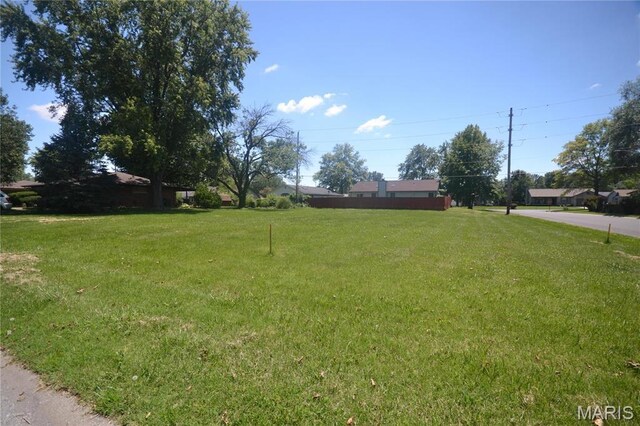 22 Elizabeth Dr, Belleville, IL 62226 - photo 4