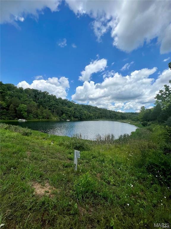 1902 1st St, Bonne Terre, MO 63628