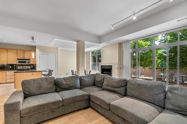 living area featuring light wood-type flooring and a fireplace