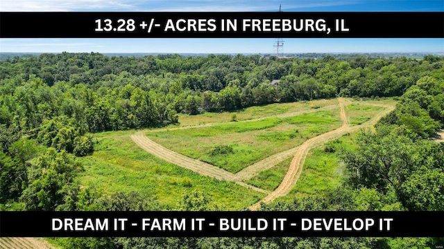 0 Five Forks Rd, Freeburg, IL 62264 - photo 1