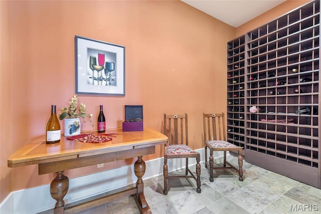 265 Deer Run Ln, Eureka, MO 63025 - view of wine cellar