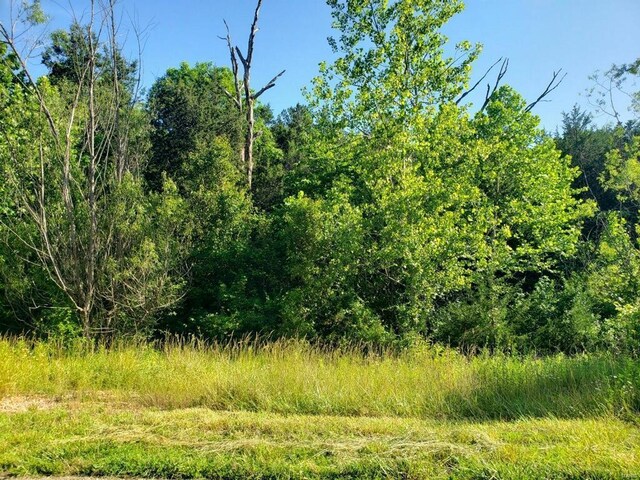 3512 Buttermilk Dr, Festus, MO 63028 - photo 5