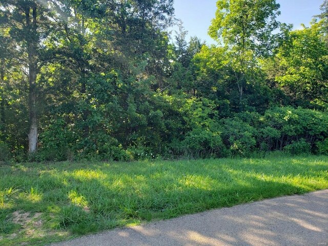 3512 Buttermilk Dr, Festus, MO 63028 - photo 7