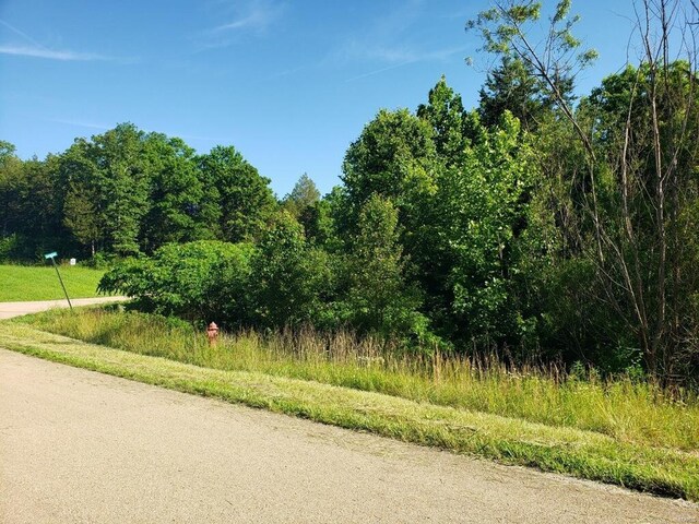 3512 Buttermilk Dr, Festus, MO 63028 - photo 8
