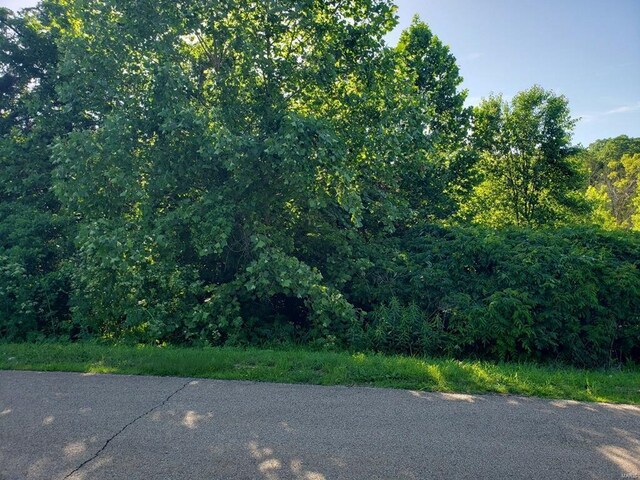 3512 Buttermilk Dr, Festus, MO 63028 - photo 9