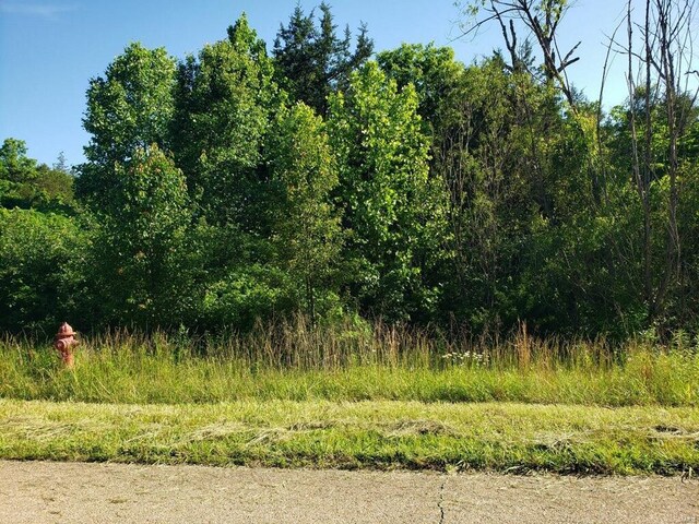 3512 Buttermilk Dr, Festus, MO 63028 - photo 10