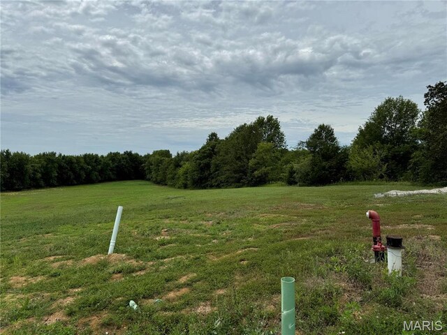 523 Saint John Ln, Old Monroe, MO 63369 - photo 13