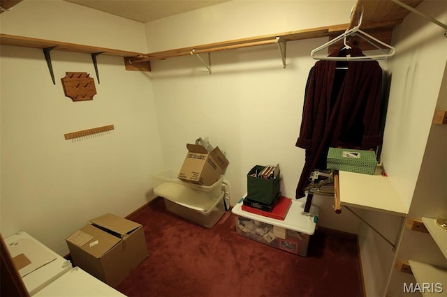 1710 Doe Run Dr, Vandalia, IL 62471 - walk in closet with carpet floors