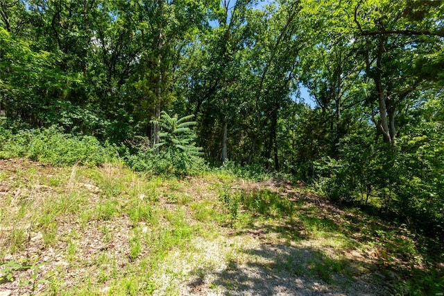 143 Long Oaks Dr, Imperial, MO 63052