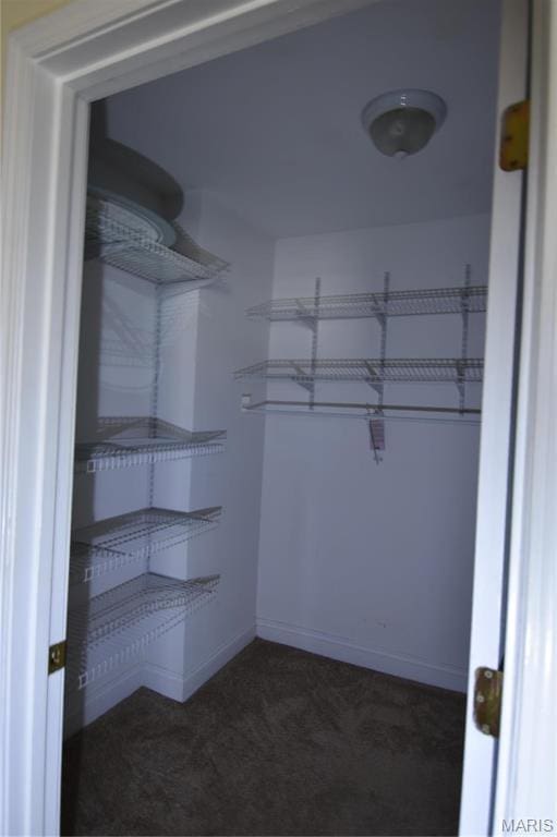 7617 Ivory Ave, Saint Louis, MO 63111 - spacious closet featuring carpet floors