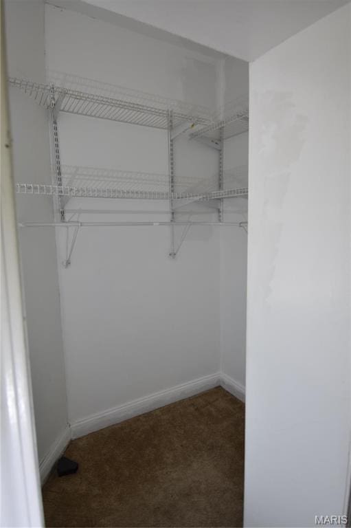 7617 Ivory Ave, Saint Louis, MO 63111 - walk in closet with carpet flooring