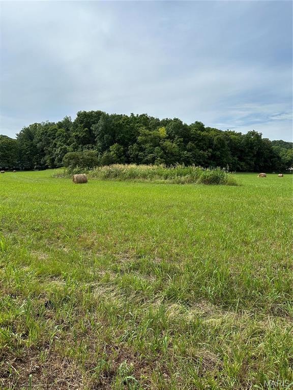 7382 Old Lemay Ferry Rd, Barnhart, MO 63012
