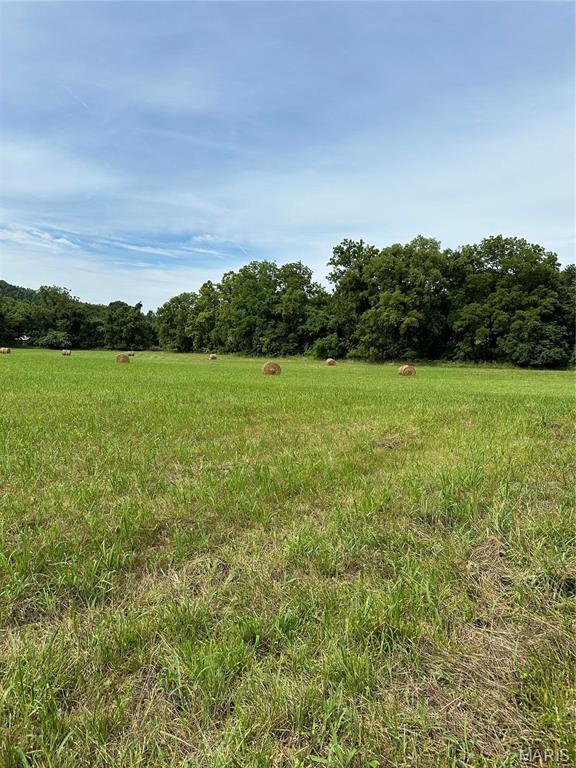7382 Old Lemay Ferry Rd, Barnhart, MO 63012