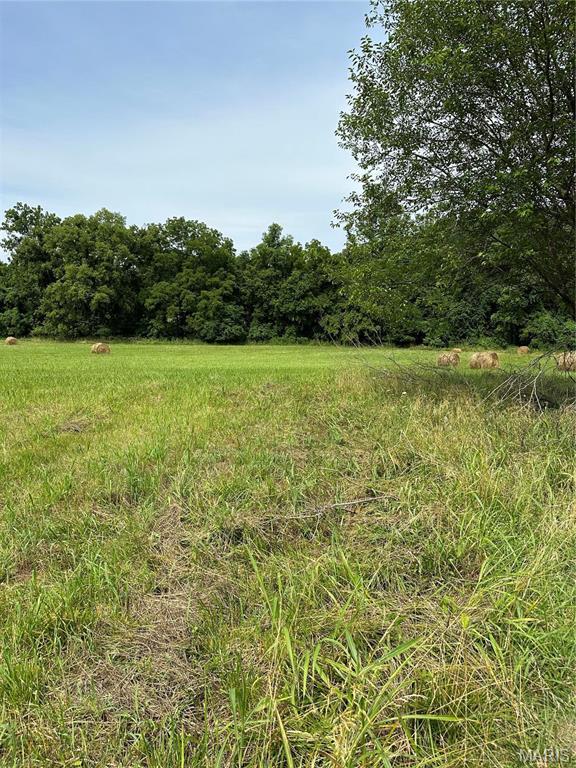 7382 Old Lemay Ferry Rd, Barnhart, MO 63012