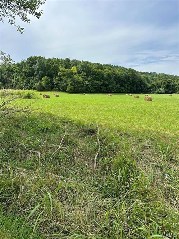 7382 Old Lemay Ferry Rd, Barnhart, MO 63012