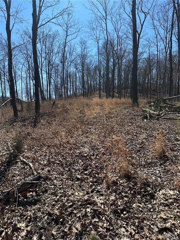 7382 Old Lemay Ferry Rd, Barnhart, MO 63012