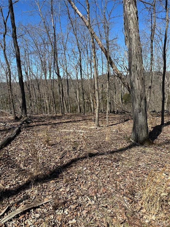 7382 Old Lemay Ferry Rd, Barnhart, MO 63012