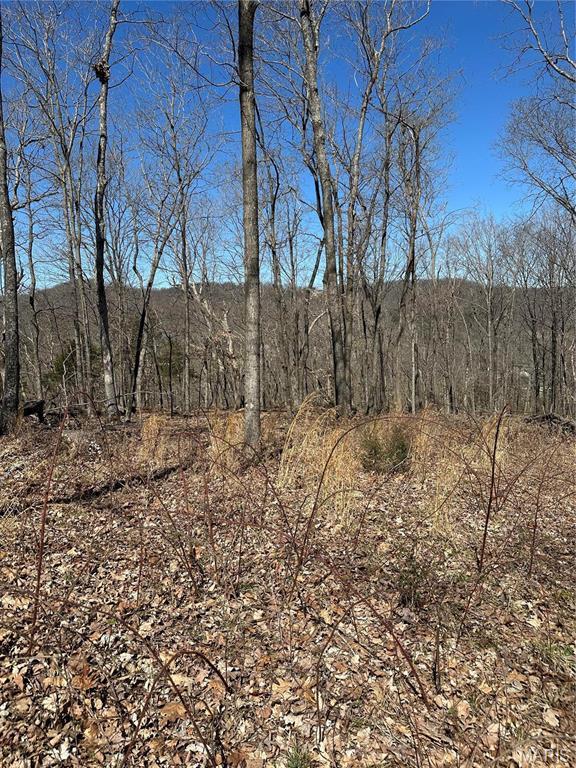 7382 Old Lemay Ferry Rd, Barnhart, MO 63012