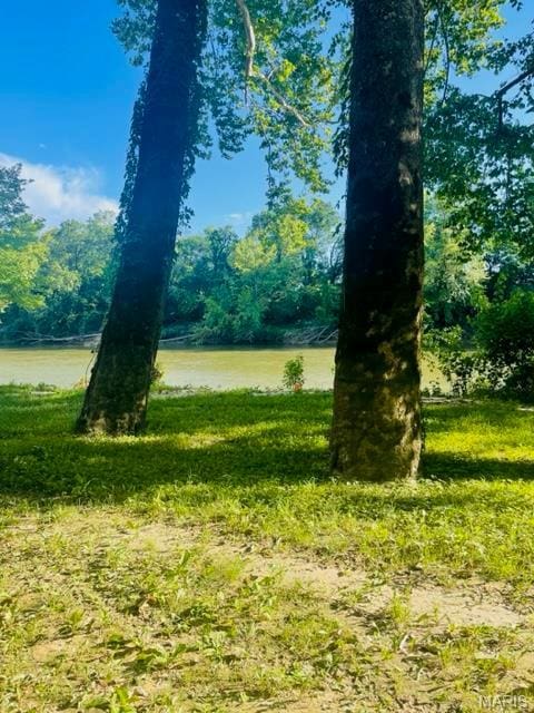 1310 Bluebird Ln, Morrison, MO 65061 - photo 10