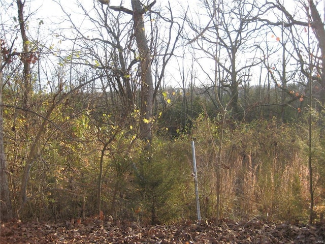3 Easton St, De Soto, MO 63020 - photo 1