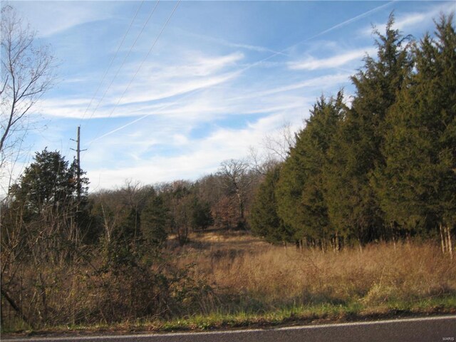 3 Easton St, De Soto, MO 63020 - photo 4