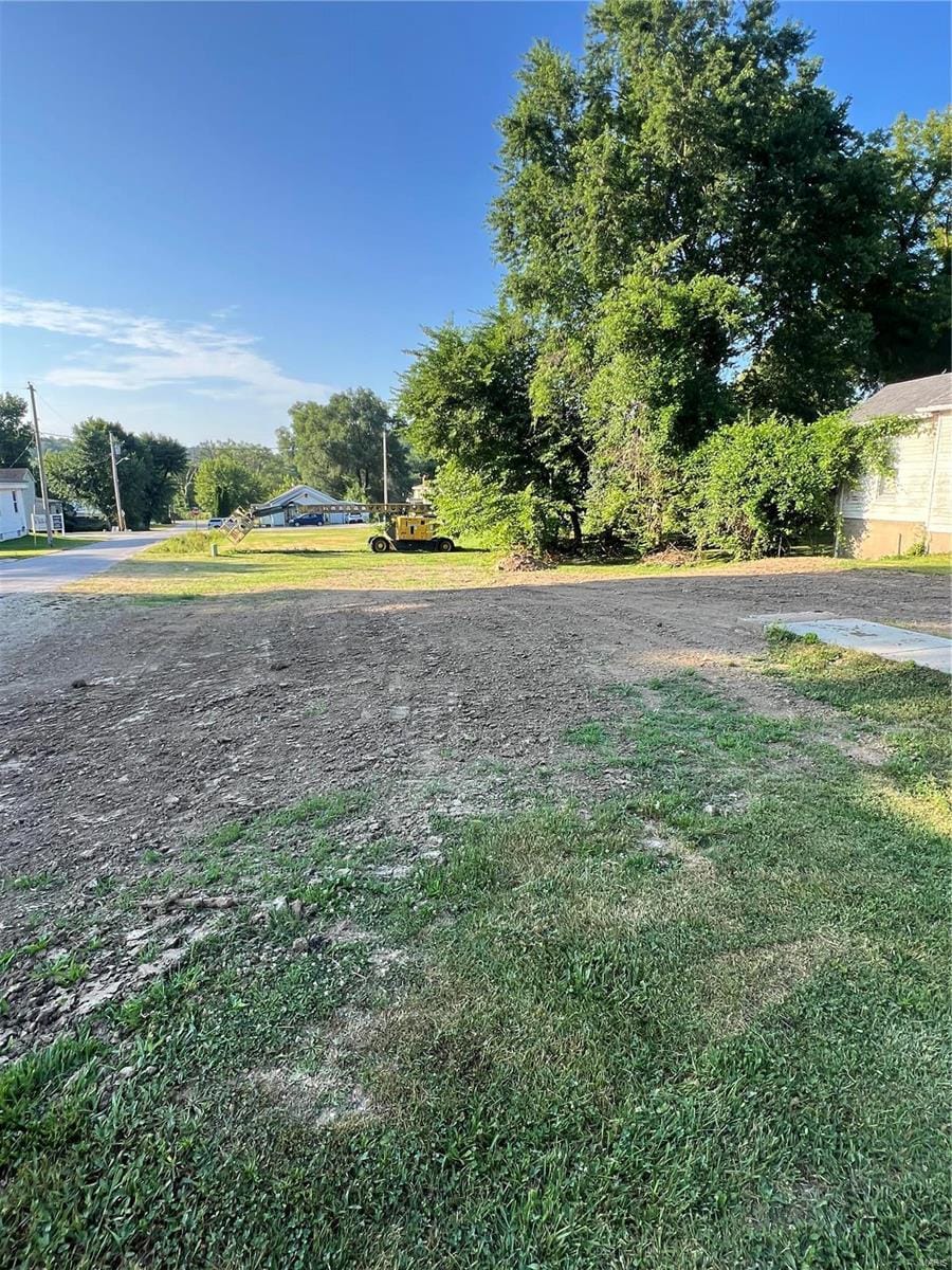 1500 Georgia St, Louisiana, MO 63353 - photo 2