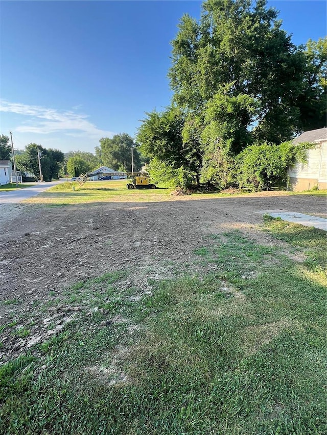 1500 Georgia St, Louisiana, MO 63353 - photo 2