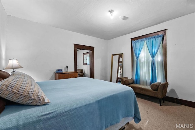 302 E Walsh St, Montgomery City, MO 63361 - view of carpeted bedroom