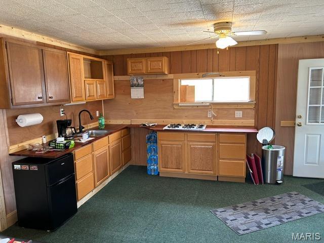 1517 Mule Deer Dr, Ironton, MO 63650 - photo 2