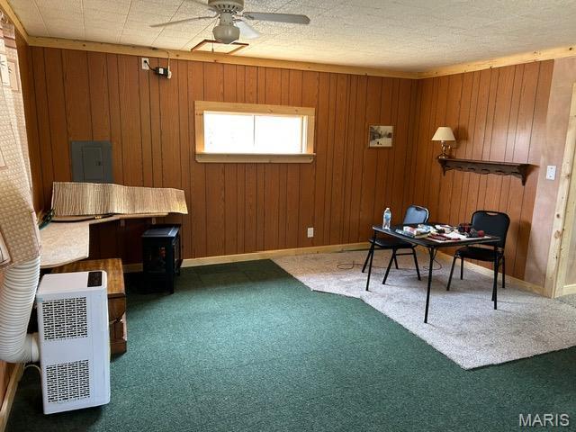 1517 Mule Deer Dr, Ironton, MO 63650 - photo 14