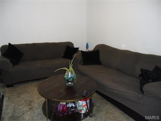 116 Wilson Park Ln, Granite City, IL 62040 - living area with carpet flooring