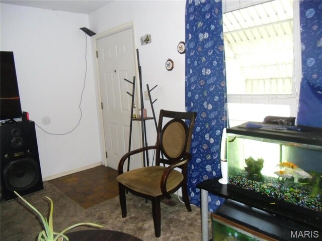 116 Wilson Park Ln, Granite City, IL 62040 - view of sitting room