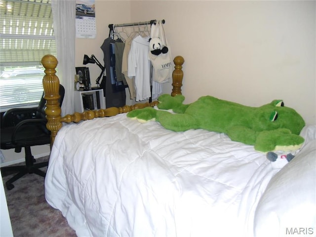116 Wilson Park Ln, Granite City, IL 62040 - view of carpeted bedroom
