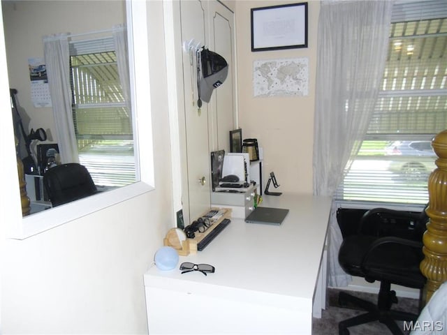 116 Wilson Park Ln, Granite City, IL 62040 - office area featuring healthy amount of natural light