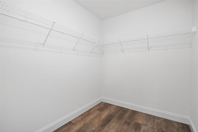 8817 Moritz Ave, Saint Louis, MO 63144 - walk in closet with dark wood finished floors