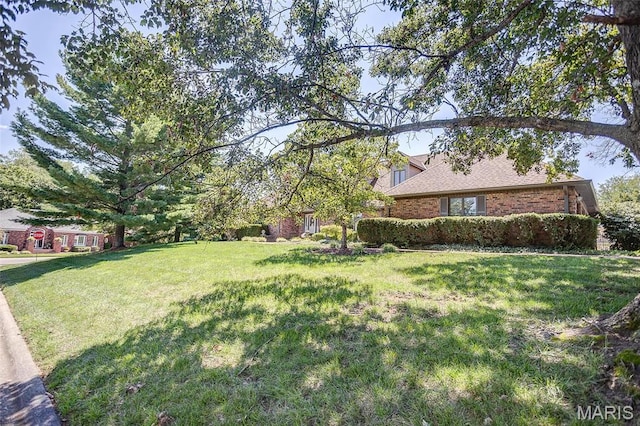6 Red Fox Rd, Belleville, IL 62223 - view of grassy yard