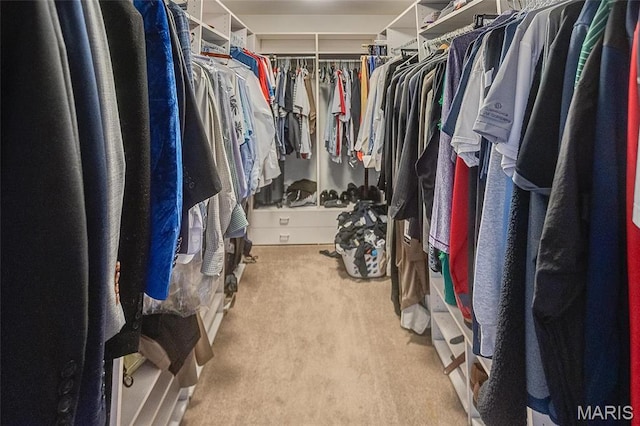 6 Red Fox Rd, Belleville, IL 62223 - spacious closet with carpet