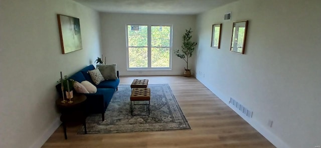 living area with wood finished floors