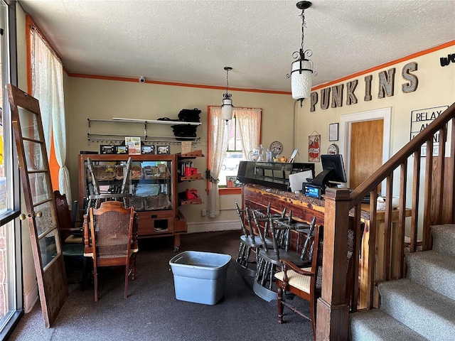 156 S Main St, Ironton, MO 63650 - interior space with ornamental molding, a textured ceiling, and baseboards