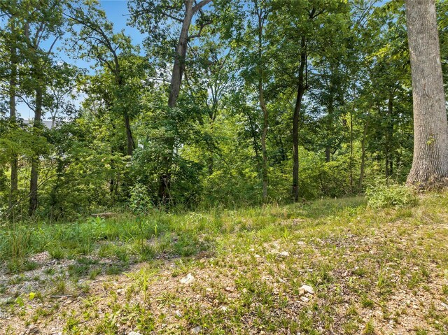 204 Ella Rose Ln, Saint Charles, MO 63304 - photo 12