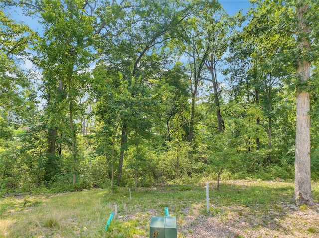 204 Ella Rose Ln, Saint Charles, MO 63304 - photo 3