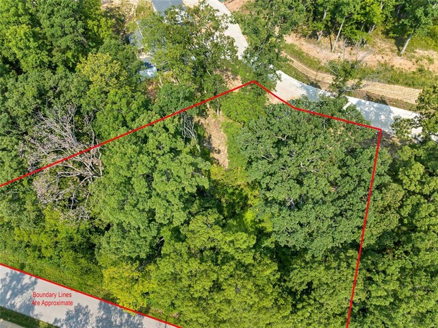 204 Ella Rose Ln, Saint Charles, MO 63304 - photo 6