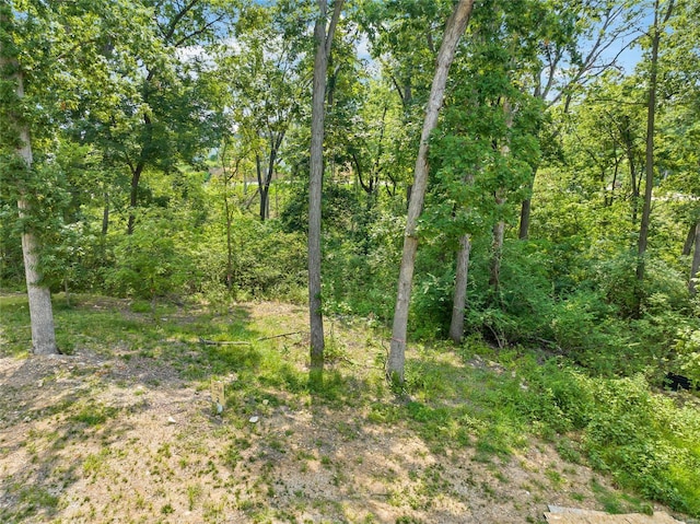 204 Ella Rose Ln, Saint Charles, MO 63304 - photo 9