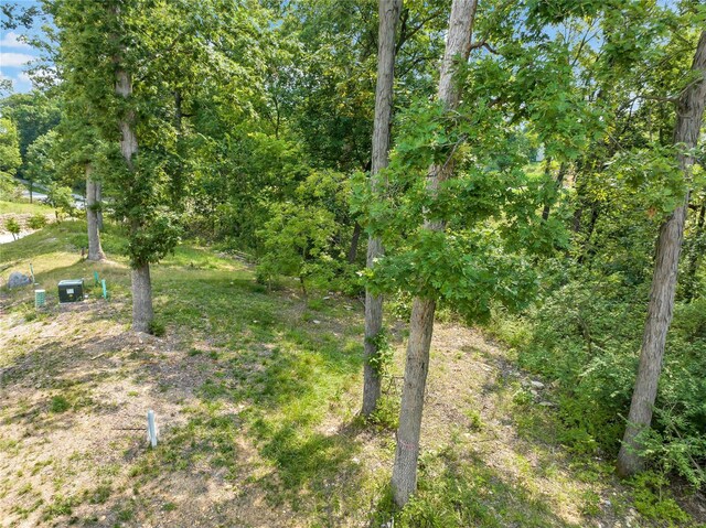 204 Ella Rose Ln, Saint Charles, MO 63304 - photo 10