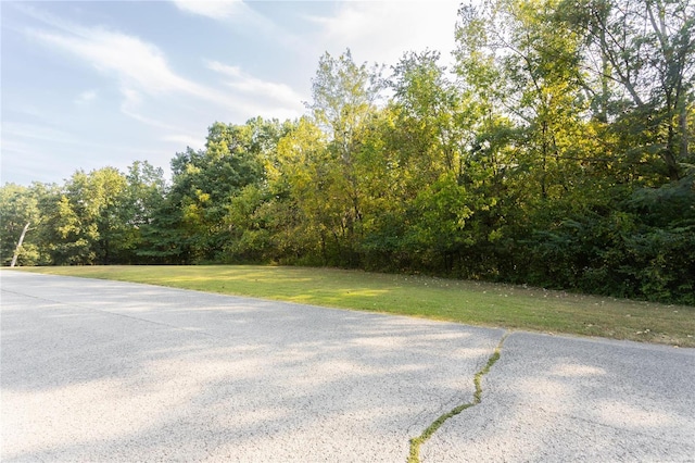 1 Manderly Place Dr, Ofallon, MO 63366 - photo 2