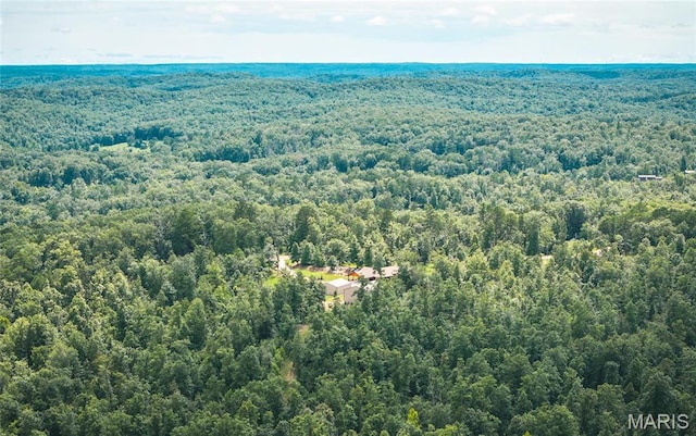 5430 Carter Route M, Van Buren, MO 63965 - drone / aerial view of a forest