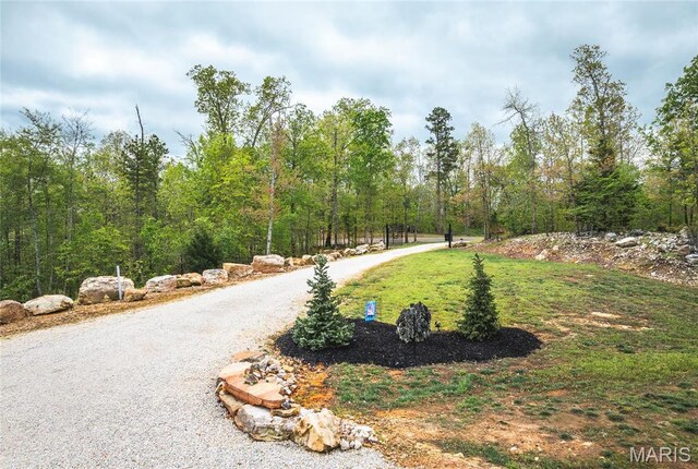 5430 Carter Route M, Van Buren, MO 63965 - photo 23