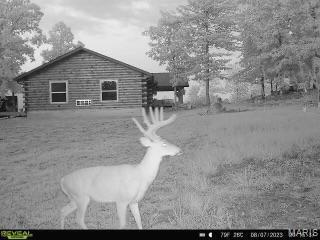 5430 Carter Route M, Van Buren, MO 63965 - photo 57