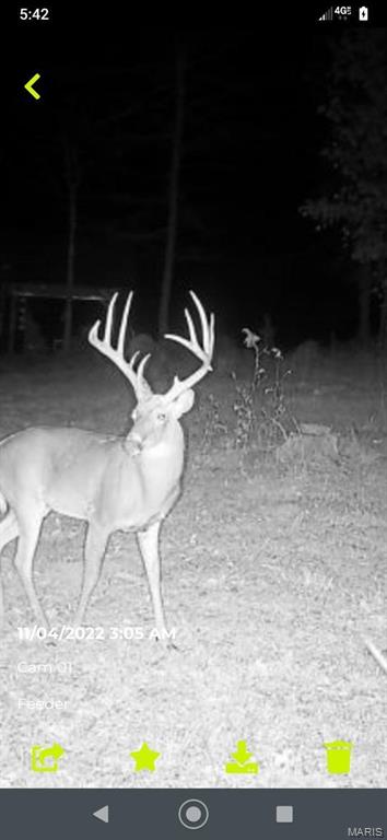 5430 Carter Route M, Van Buren, MO 63965 - photo 61